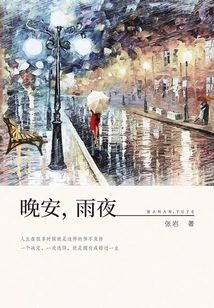 Good Night, Rainy Night