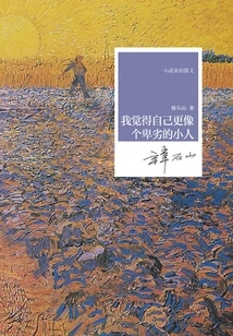 I Feel More Like a Despicable Villain