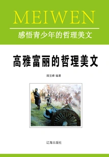 Elegant and Rich Philosophical Essays