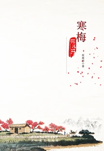 Winter Plum Blossoms Are Blooming