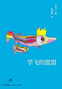 Learn to Fly Alliance