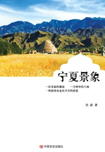 Ningxia Scene