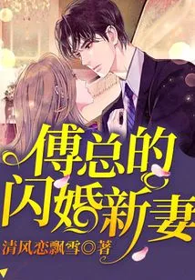 Mr. Fu's Flash Marriage New Wife