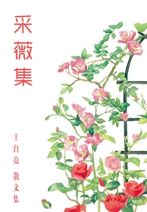 Collection of Weiwei