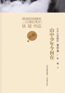 Where is the Boy in the Mountain Now?