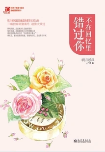 I Won't Miss You in My Memories