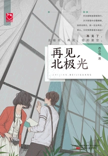 Goodbye Northern Lights