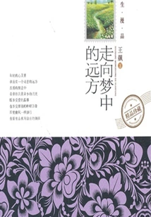 Go to the Distance in Dreams