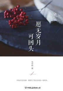 I Wish There Would Be No Time to Look Back