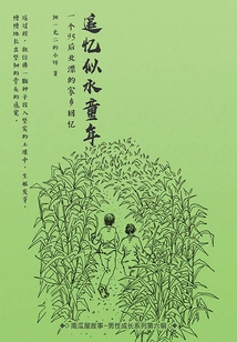 Reminiscing About Childhood: a Post-95s Generation's Hometown Memories (pumpkin House Story)