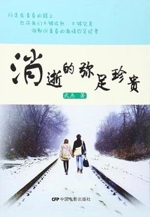 The Precious Things That Disappear