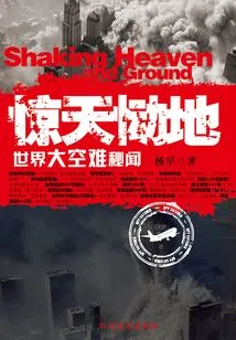 Shocking and Grieving (the Secret of the World's Biggest Air Disaster)