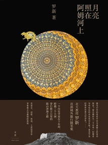 The Moon Shines on the Amu Darya River