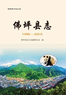 Foping County Chronicle: 1990-2010