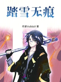 No Trace on the Snow