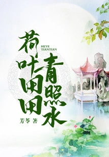 Lotus Leaf Field Green Photo Water