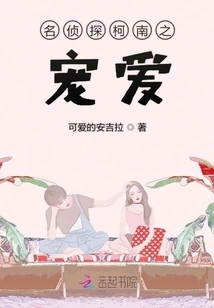 Detective Conan's Favorite