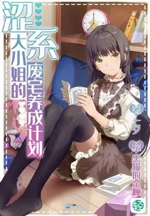 The Abandoned House Development Plan of the Astringent Lady Vol.01 (light Novel Series)