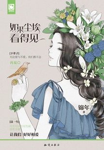 If Dust Could Be Seen