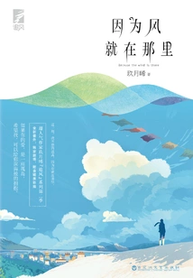 Because the Wind is There