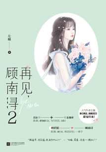 Goodbye, Gu Nanxun 2