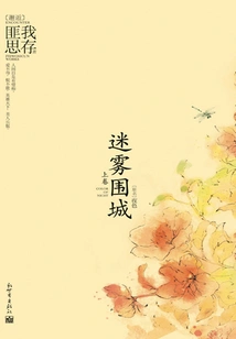 Mist Siege (volume 1)