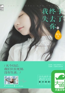 I Finally Lost You 2