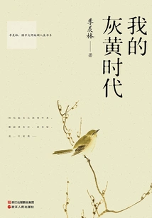 My Gray and Yellow Era