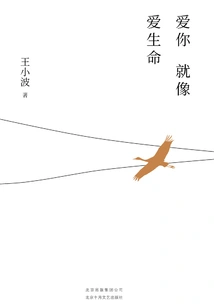 Loving You is Like Loving Life