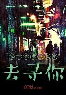 I Won't Stop Looking for You