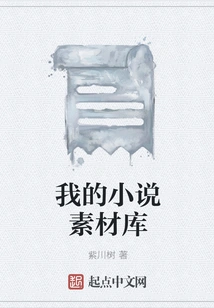 My Novel Material Library