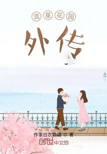 Meteor Garden, Gaiden