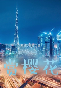 Enjoy Cherry Blossoms with You