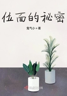 The Secret of the Plane