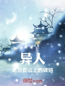 Stranger, the Inscription on Longlei Snow Mountain