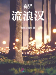 There is a Homeless Cat