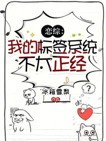 Lian Zong: My Labeling System is Not Very Serious