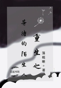 Rebirth: the Waiting Stranger