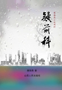 Two Kinds of Novels by Fan Haiyan·suspicious Criminal Record
