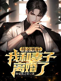 After My Mother Died, My Wife and I Divorced