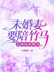 My Fiancée is Going to Iceland with Zhuma to See the Aurora