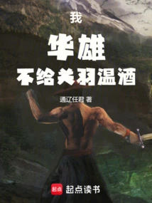 I, Hua Xiong, Will Not Warm Wine for Guan Yu