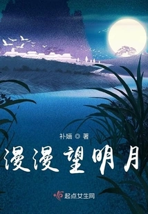 Looking at the Bright Moon