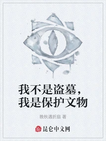 I'm Not a Tomb Robber, I'm Protecting Cultural Relics