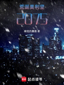 Absurd America: 2075