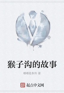 The Story of Monkey Valley