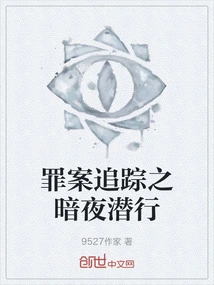 Crime Tracking: Sneaking in the Dark