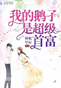 My Goose is the Super Richest Man