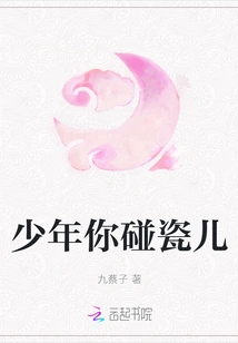 Young Man, You Touch Porcelain