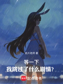 Wait, What Plot Did I Skip?